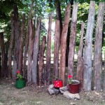 Eko park u Kragujevcu: Zavirite u pravu  ekološku oazu!