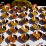 Organska proizvodnja semena